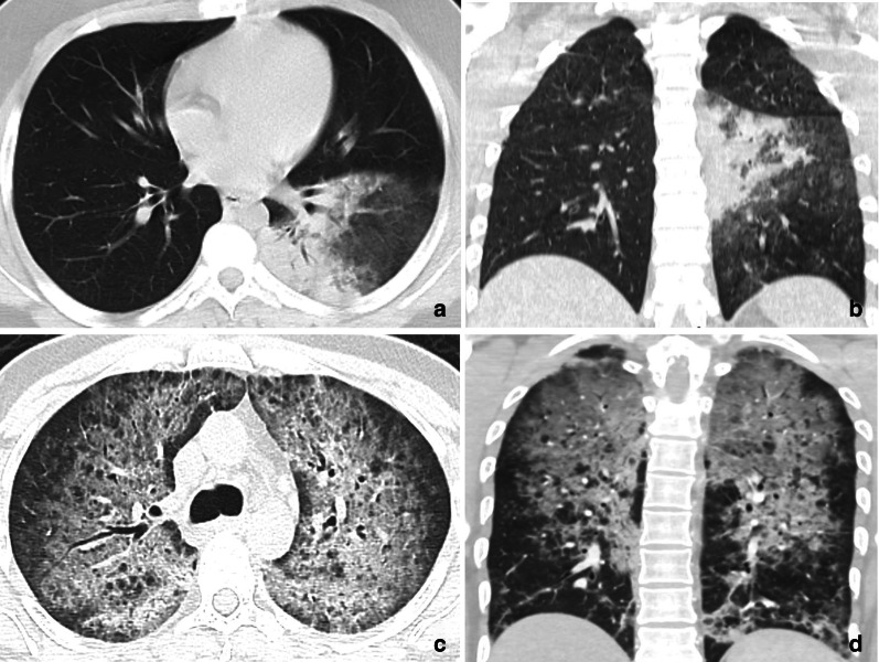 Fig. 8