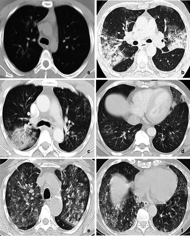 Fig. 7