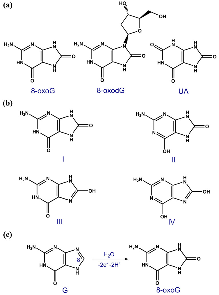 Scheme 3