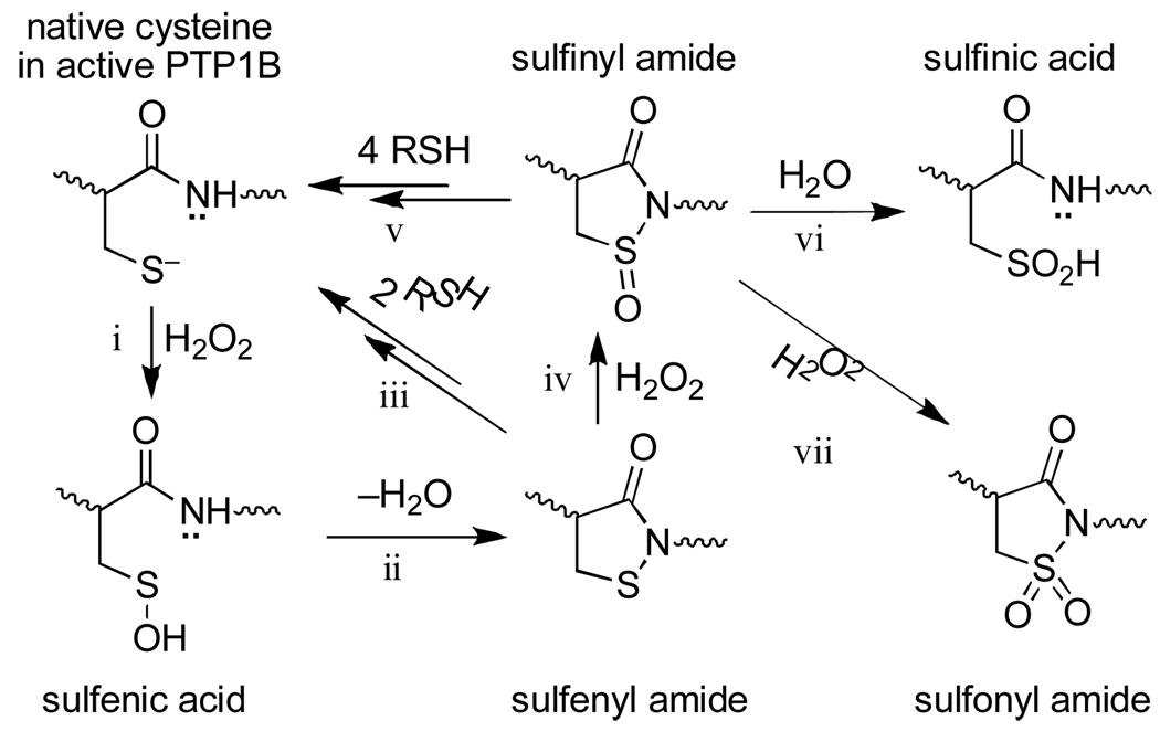 Scheme 2