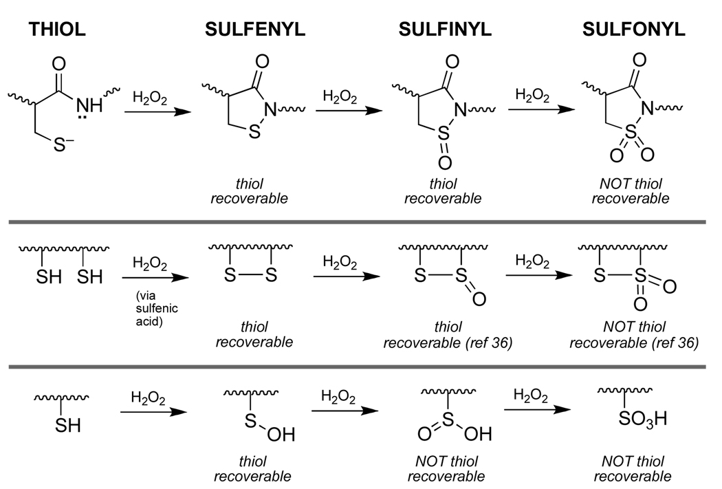 Scheme 6