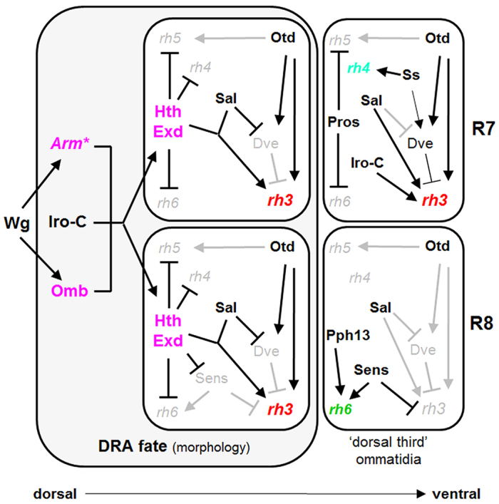 Fig. 8.