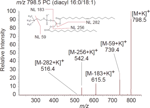 Figure 3.