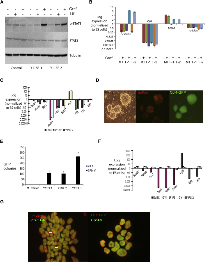 Figure 2