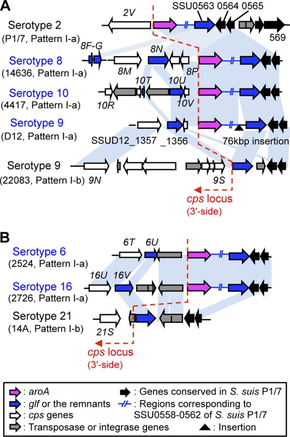 Fig 4