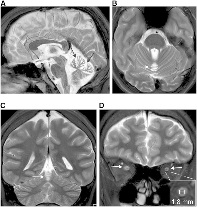 Figure 2