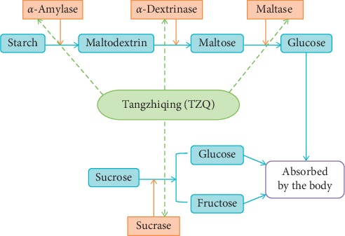 Figure 7