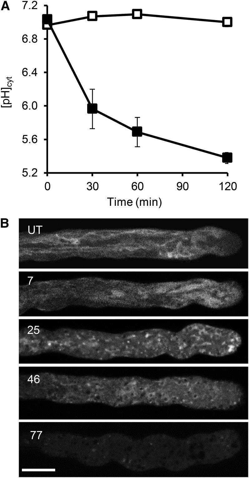 Figure 7.