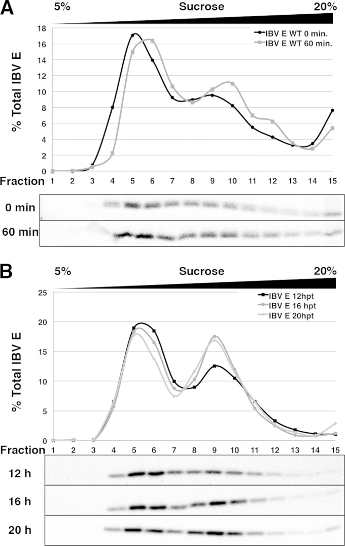 FIG 2