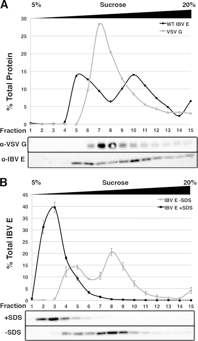 FIG 1