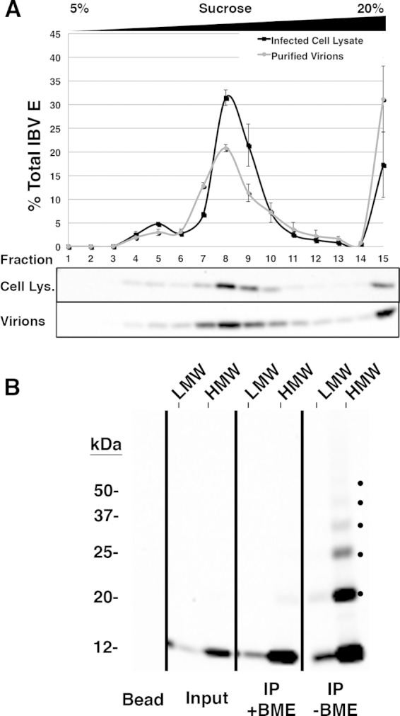 FIG 4