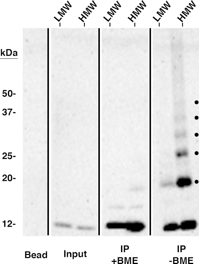 FIG 3