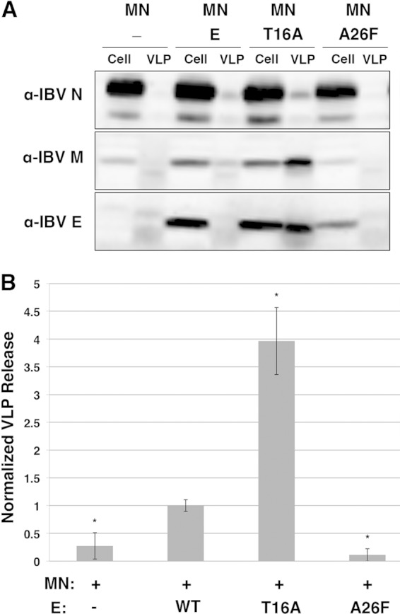 FIG 7