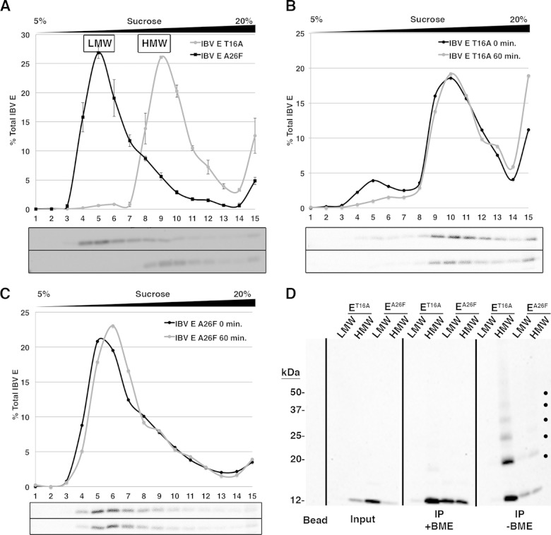 FIG 6