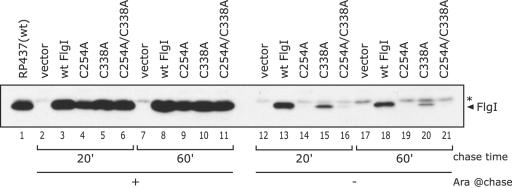 FIG. 4.