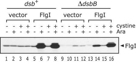 FIG. 6.