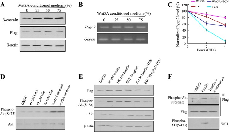 FIGURE 9.