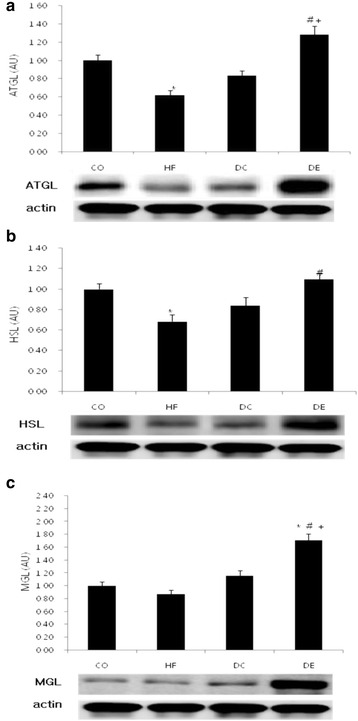 Fig. 4