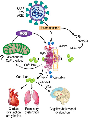 FIGURE 4