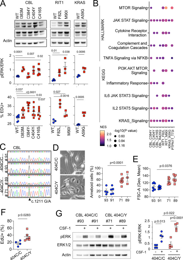 Fig. 4-