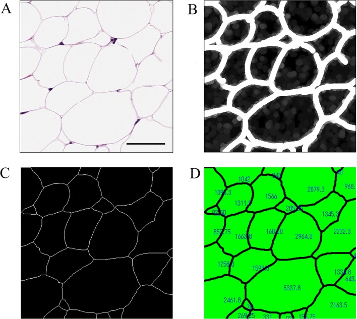 Fig. 4.