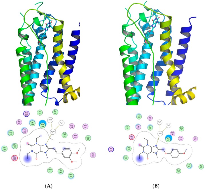 Figure 13