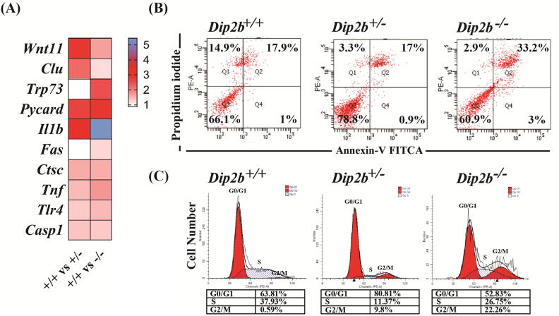 Fig. 6