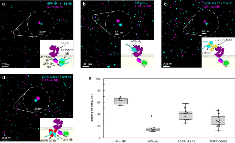 Extended Data Fig. 7