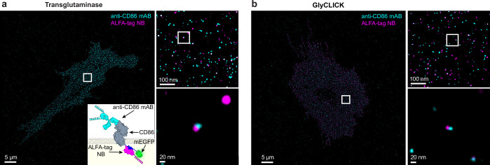 Extended Data Fig. 5