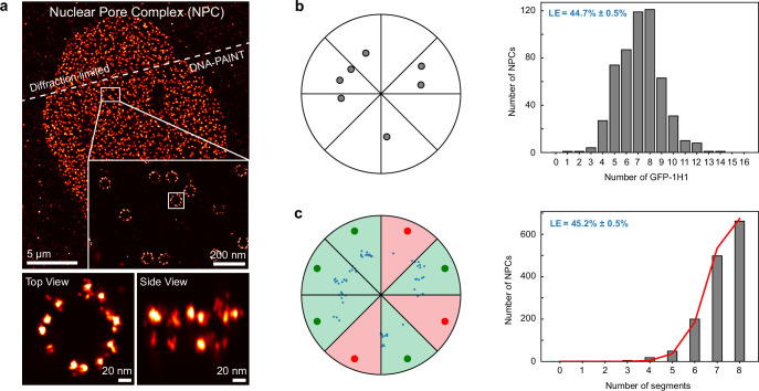 Extended Data Fig. 3