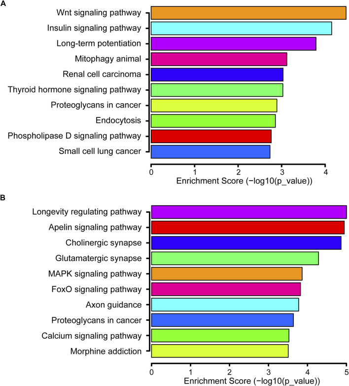 FIGURE 4