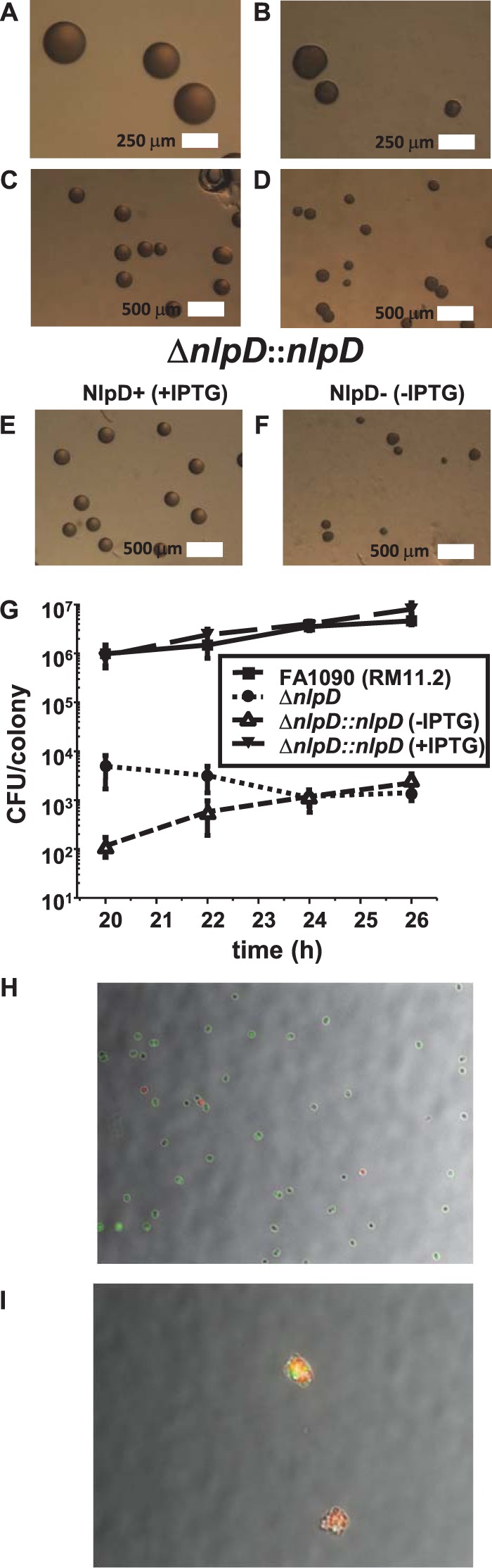 FIG 2