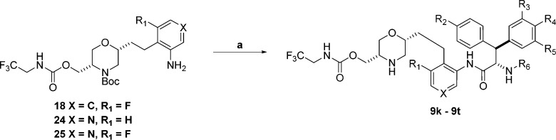 Scheme 7