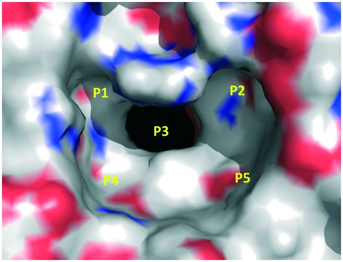 Fig. 3