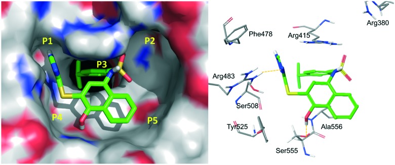 Fig. 12