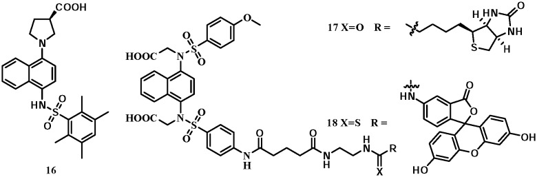 Fig. 10