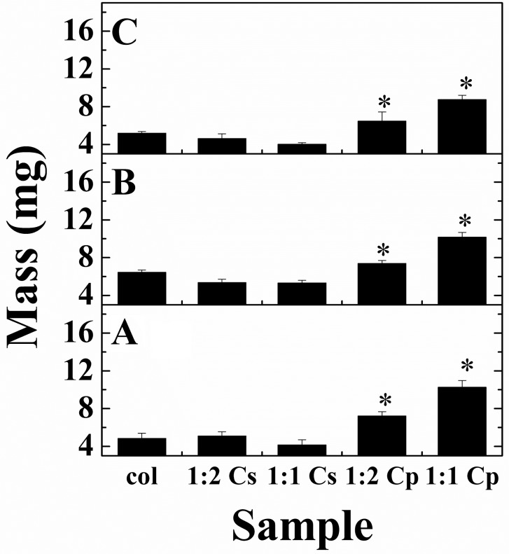 Fig 10