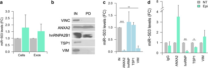 Fig. 6