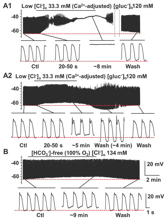 Fig. 8