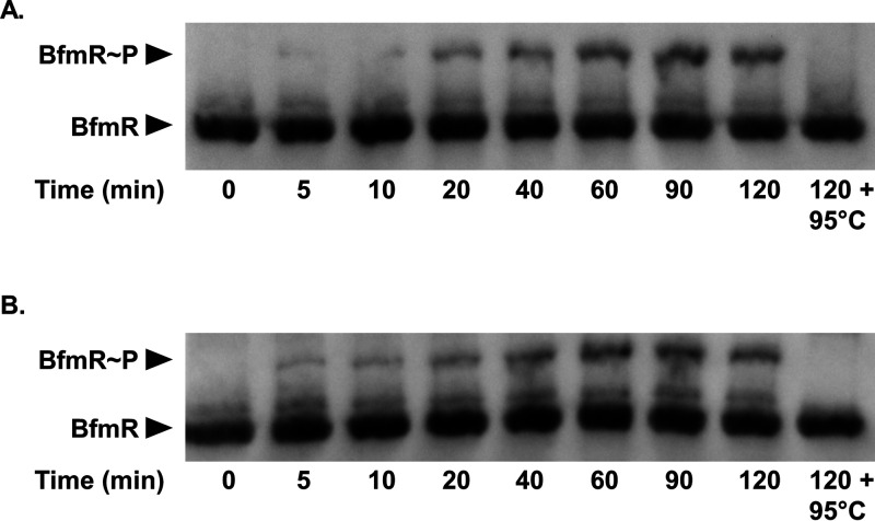 FIG 5