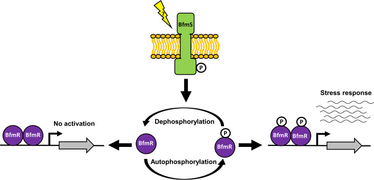 FIG 6