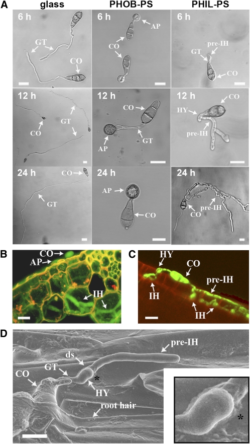 Figure 1.