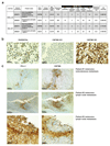 Extended data Figure 6