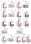 Extended data Figure 3