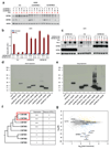 Extended data Figure 4