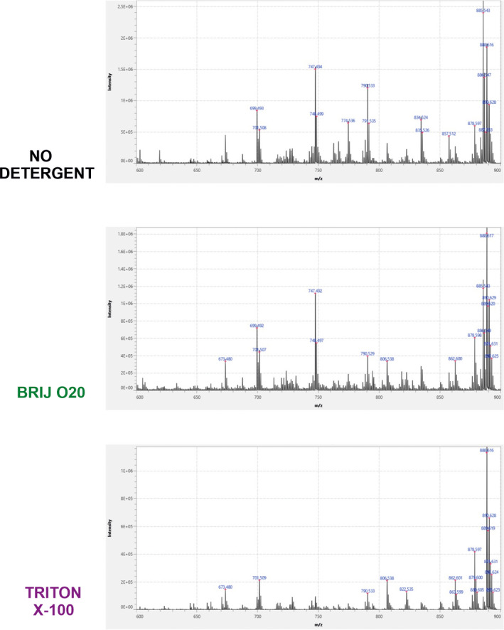 FIGURE 3