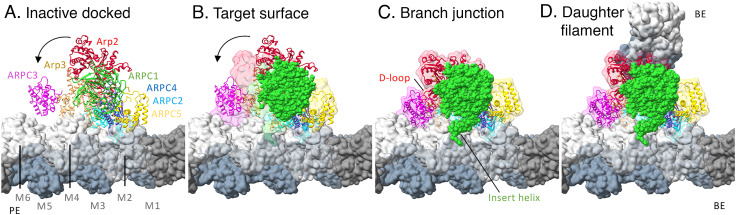 Fig. 4.