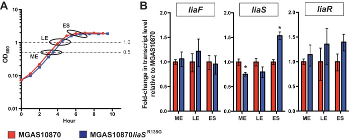 FIG 4