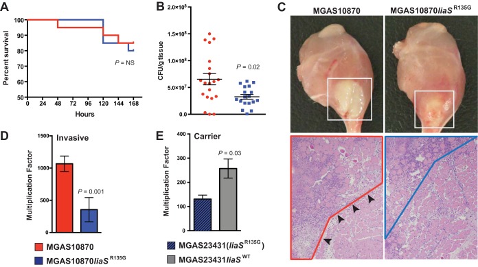 FIG 3