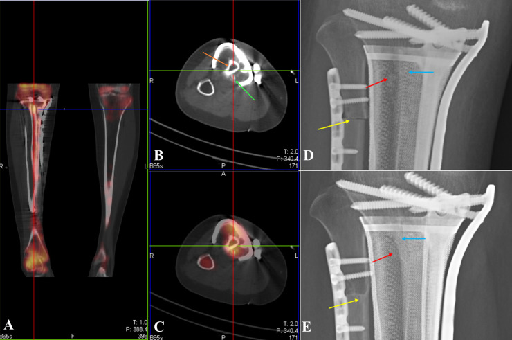 Fig. 5